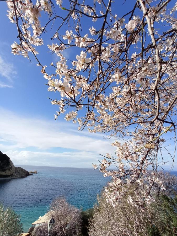 Ostria Άγιος Νικήτας