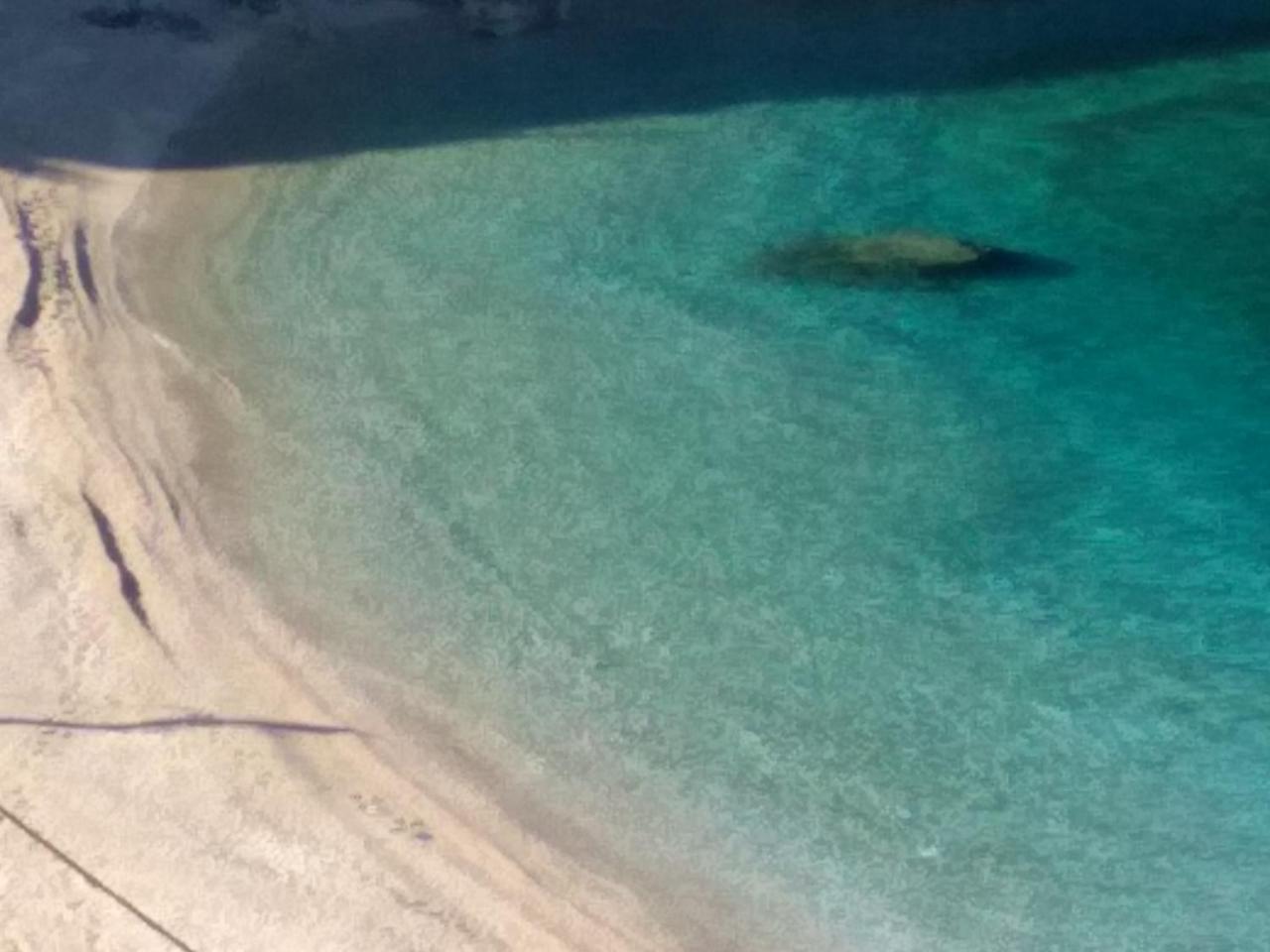 Πανσιόν Ostria