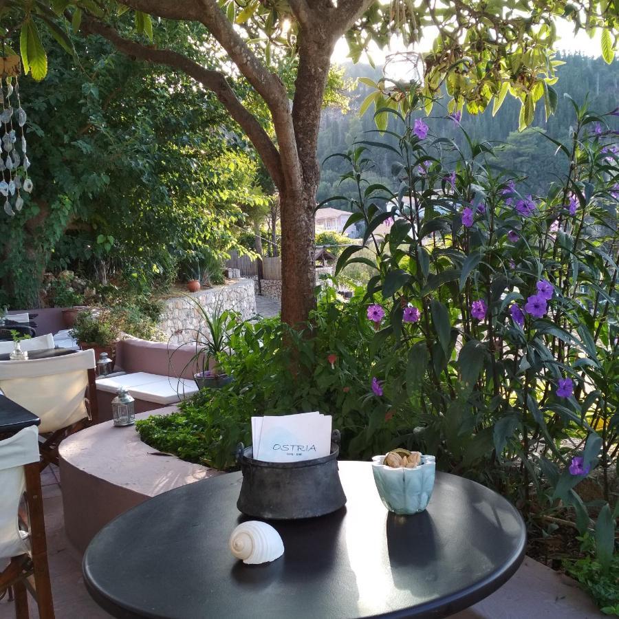 Ostria Guest house